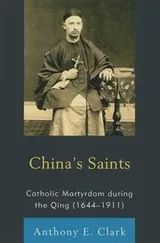 Cover of Chinas Saints Catholic Martyrdom During The Qing