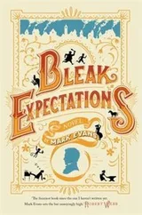 Cover of Bleak Expectations