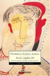 Cover of Poesia (Volumen 3)