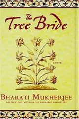 Cover of The tree bride