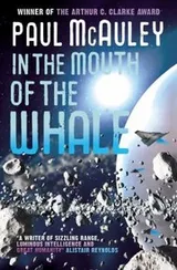 Cover of In The Mouth Of The Whale