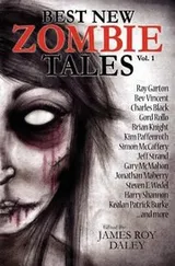 Cover of Best New Zombie Tales
