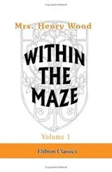 Cover of Within the Maze