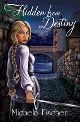 Cover of Hidden from Destiny