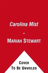 Cover of Carolina Mist