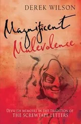 Cover of Magnificent Malevolence Memoirs Of A Career In Hell
