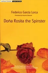 Cover of Doa Rosita The Spinster