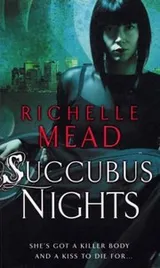 Cover of Succubus Nights