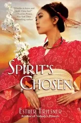 Cover of Spirits Chosen