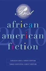 Cover of Best African American Fiction 2010
