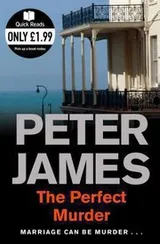 Cover of The Perfect Murder