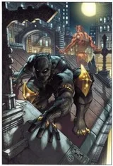 Cover of Black Panther The Man Without Fear