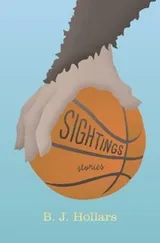 Cover of Sightings Stories