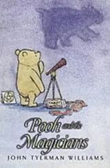 Cover of Pooh and the Magicians