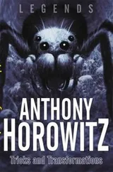 Cover of Tricks And Transformations