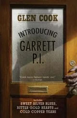 Cover of Introducing Garrett Pi