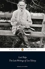 Cover of Last steps