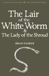 Cover of The Lair Of The White Worm The Lady Of The Shroud