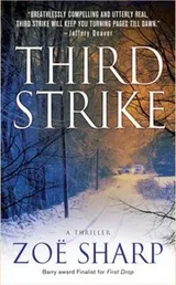 Cover of Third Strike A Charlie Fox Thriller
