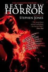 Cover of The Mammoth Book Of Best New Horror