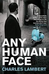 Cover of Any Human Face