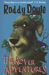 Cover of The Rover Adventures