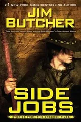 Cover of Side Jobs Stories From The Dresden Files