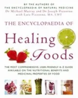 Cover of The Encyclopeadia Of Healing Foods