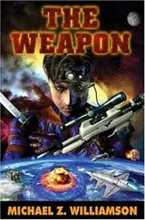 Cover of The weapon
