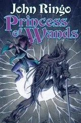 Cover of Princess of wands