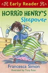 Cover of Horrid Henrys Sleepover