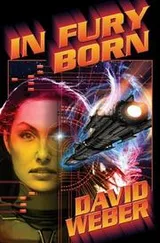 Cover of In Fury Born