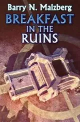 Cover of Breakfast in the Ruins