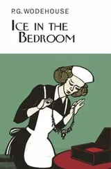 Cover of Ice In The Bedroom