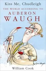 Cover of Kiss Me Chudleigh The World According To Auberon Waugh