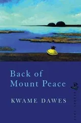 Cover of Back Of Mount Peace Poems