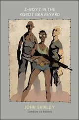 Cover of Zboyz In The Robot Graveyard