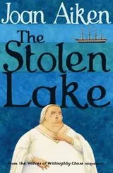Cover of The Stolen Lake (Wolves of Willoughby Chase)