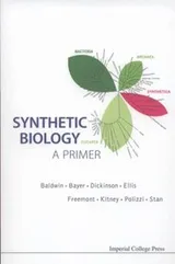 Cover of Synthetic Biology A Primer