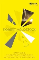 Cover of Robert Holdstock Sf Gateway Omnibus