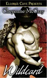 Cover of Wild