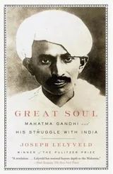 Cover of Great Soul Mahatma Gandhi And His Struggle With India