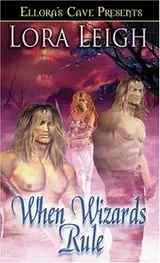Cover of Wizard Twins