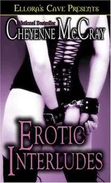 Cover of Erotic Interludes
