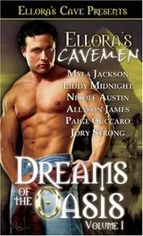 Cover of Ellora's Cavemen