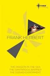 Cover of Frank Herbert Omnibus
