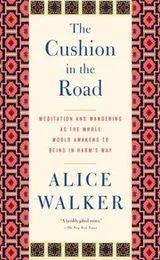 Cover of The Cushion in the Road