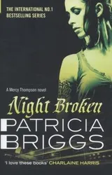 Cover of Night Broken