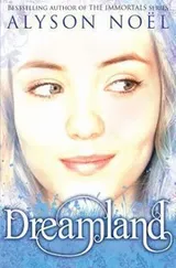 Cover of Dreamland