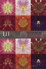 Cover of Lit from Inside